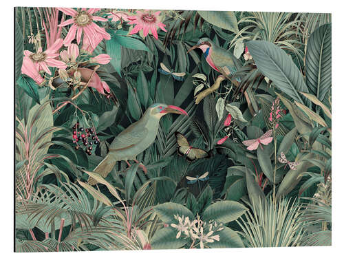 Aluminiumtavla Tropical Midnight Jungle Birds