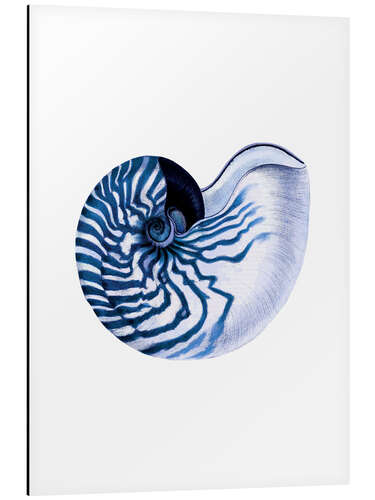 Tableau en aluminium Shell blue-white hampton style