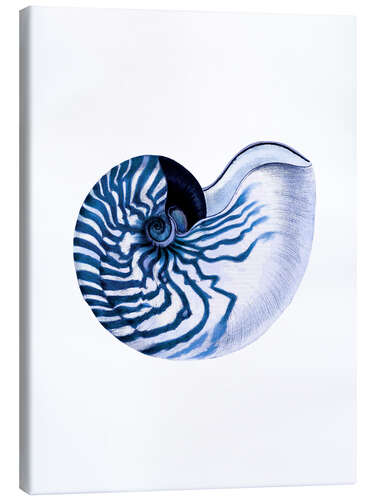 Tableau sur toile Shell blue-white hampton style