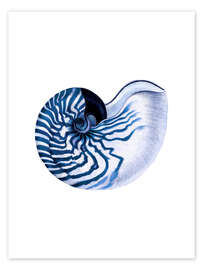 Plakat Shell blue-white hampton style