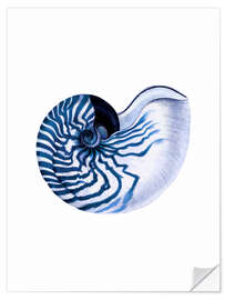 Selvklebende plakat Shell blue-white hampton style