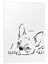 Foam board print French bulldog