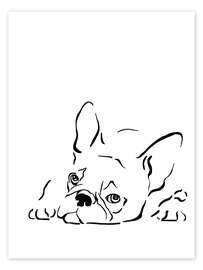 Poster French bulldog