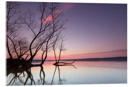 Acrylic print Evening at the lake in pastel