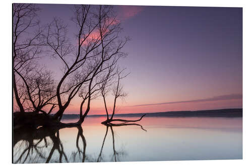 Aluminium print Evening at the lake in pastel