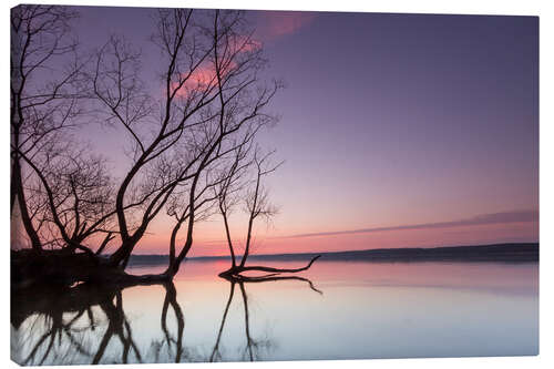 Canvas print Evening at the lake in pastel