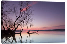 Leinwandbild Abend am See in pastell