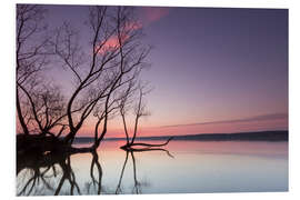 Foam board print Evening at the lake in pastel