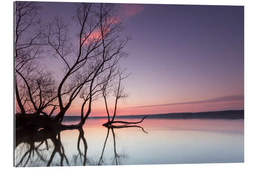 Galleritryck Evening at the lake in pastel