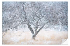 Adesivo murale Snowfall on a winterday in at the Kampina in the Netherlands