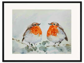 Gerahmter Kunstdruck Zwei flauschige Rotkehlchen