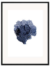 Gerahmter Kunstdruck Blaue Hampton-Koralle
