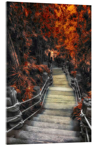 Acrylic print Path in Autumn