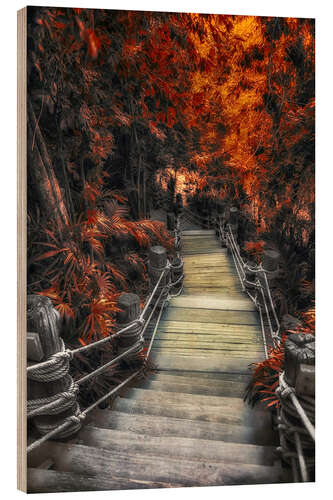 Wood print Path in Autumn