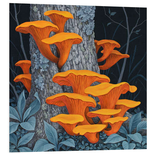 PVC-tavla Fungi