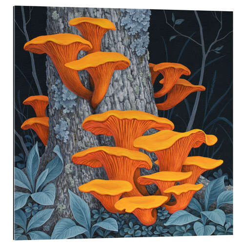 Gallery print Fungi