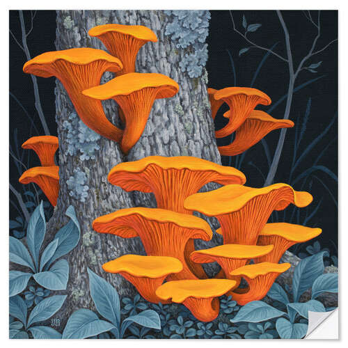 Selvklæbende plakat Fungi