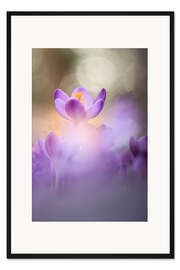 Gerahmter Kunstdruck Im Licht der Dinge