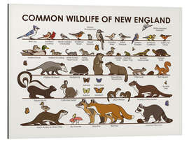 Magnettafel Tierwelt von Neuengland (Englisch)
