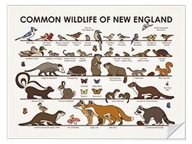 Wandsticker Tierwelt von Neuengland (Englisch)