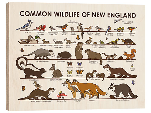 Trätavla Common Wildlife of New England