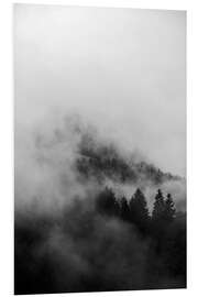 Foam board print Black forests in fog and clouds