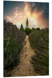 Obraz na aluminium Balaton church in the lavender field