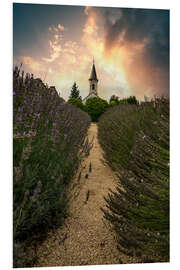 Tableau en PVC Balaton church in the lavender field