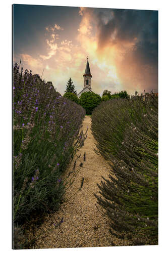 Gallery print Balaton church in the lavender field