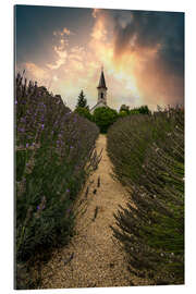 Tableau en plexi-alu Balaton church in the lavender field