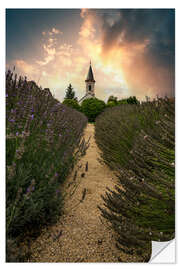 Vinilo para la pared Balaton church in the lavender field