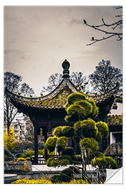 Sisustustarra China temple with bonsai