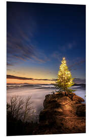 Foam board print Christmas tree in the Palatinate Forest at sunrise