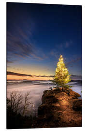 Gallery print Christmas tree in the Palatinate Forest at sunrise