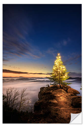 Naklejka na ścianę Christmas tree in the Palatinate Forest at sunrise