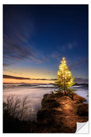 Selvklebende plakat Christmas tree in the Palatinate Forest at sunrise