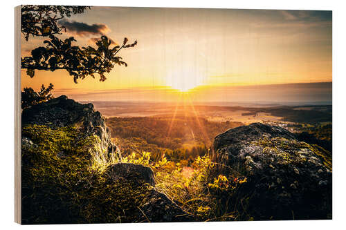 Puutaulu View of nature, of the sunset