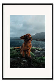 Gerahmter Kunstdruck Im Wind