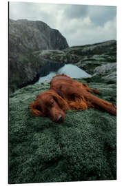 Magnettafel Moosberg