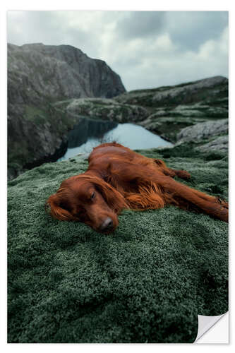 Selvklebende plakat Moss Mountain