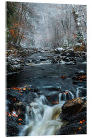 Acrylic print Snow in the High Fens on the Belgian Ardennes