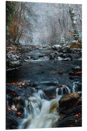 Magnettafel Schnee im Hohen Venn in den belgischen Ardennen