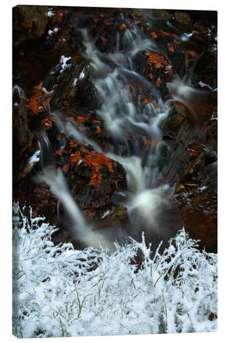 Lerretsbilde Winter and autumn with a small waterfall