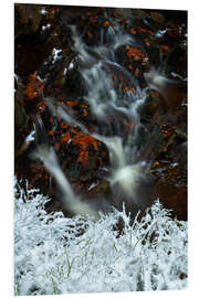 Foam board print Winter and autumn with a small waterfall