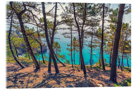 Obraz na szkle akrylowym French Brittany Coastline