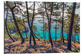 Aluminium print French Brittany Coastline