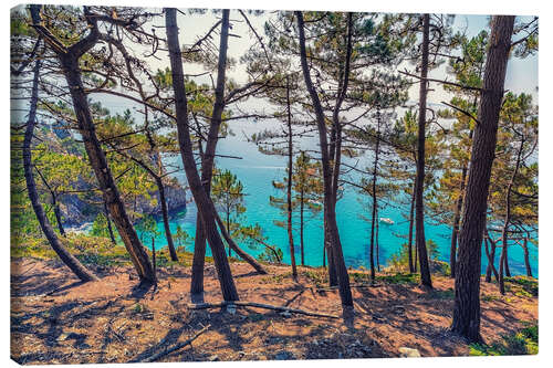 Lienzo French Brittany Coastline