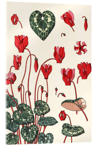 Acrylglas print Cyclamen