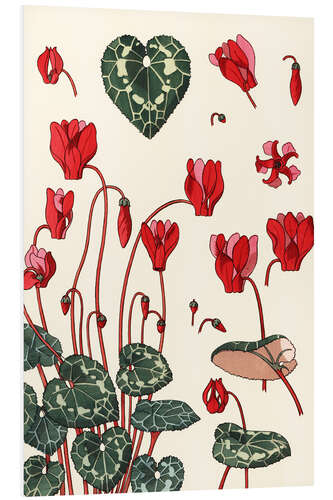 Quadro em PVC Cyclamen