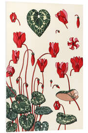 Foam board print Cyclamen